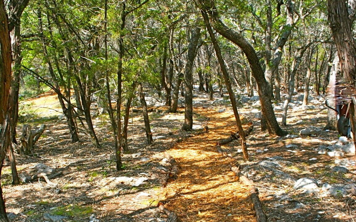 Photo of Outdoor in San Marcos