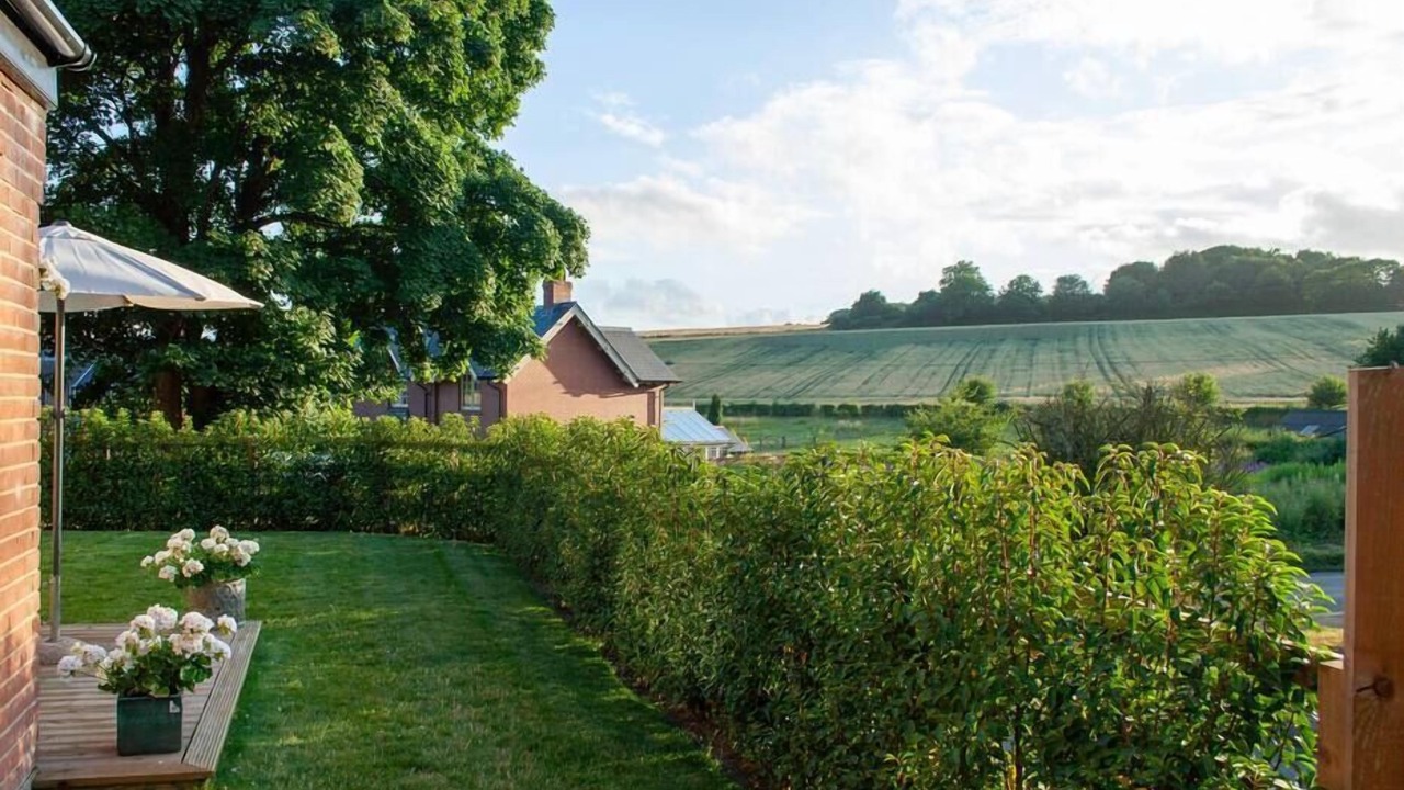 Photo of Outdoor in West Meon