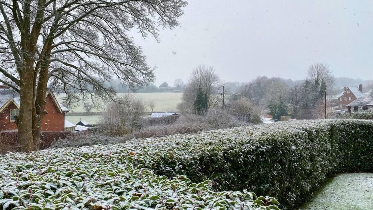 Photo of Outdoor in West Meon