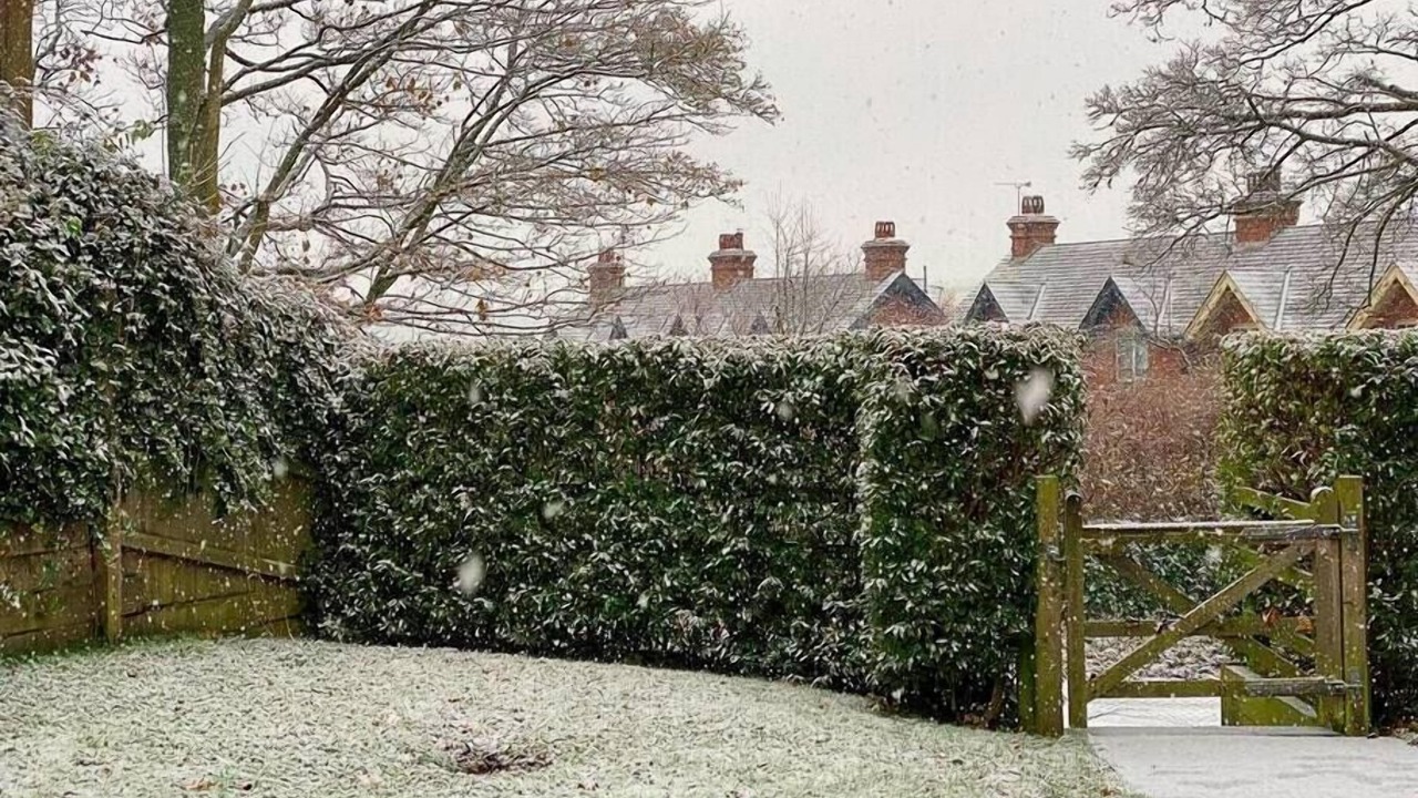 Photo of Outdoor in West Meon