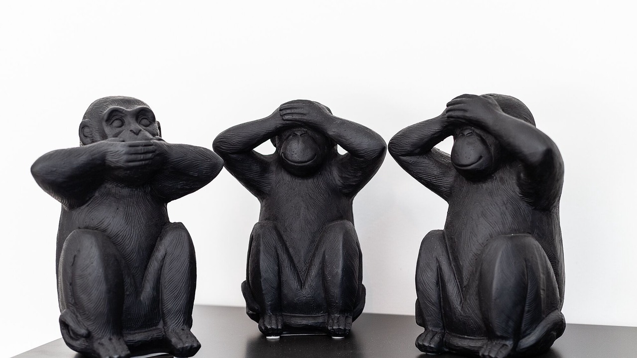 Photo of Others in Savignies