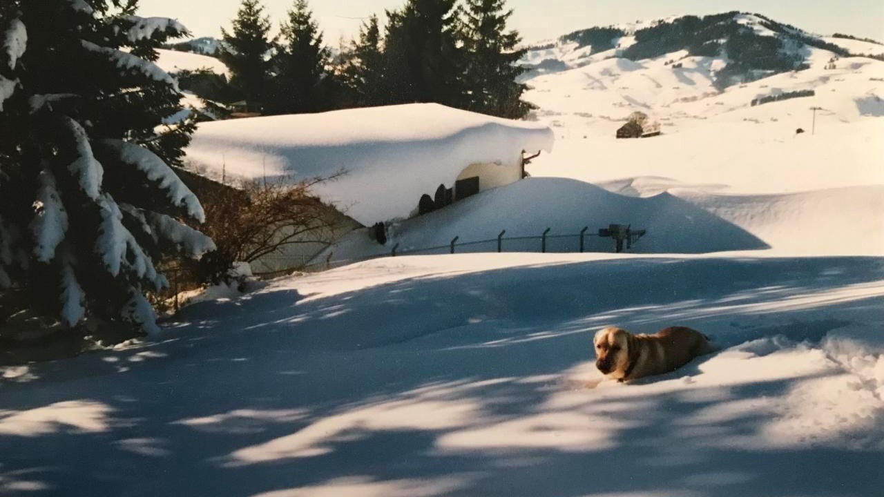 Photo of Outdoor in Appenzell