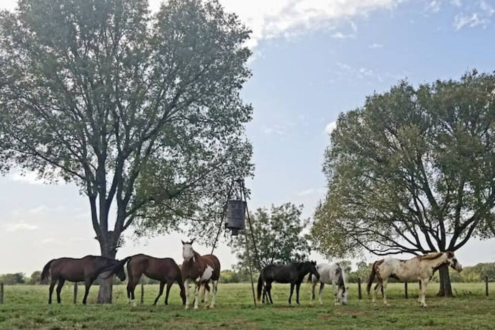 Photo of Outdoor in Lee County