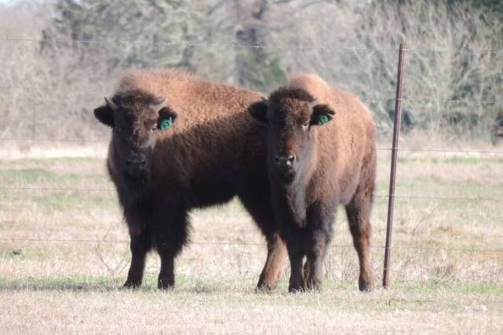 Photo of Outdoor in Lee County