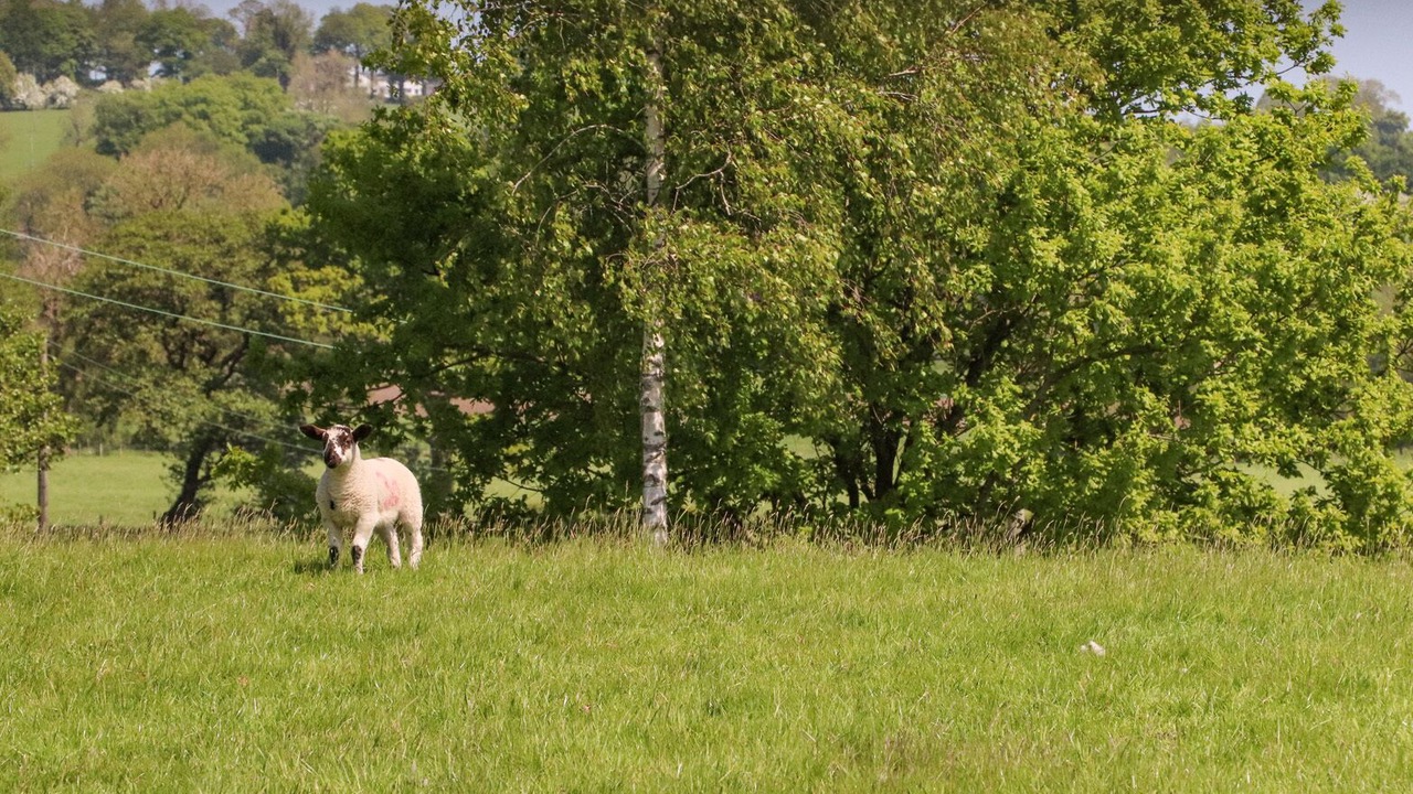 Photo of Others in Bolton by Bowland