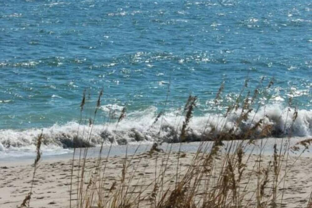 Photo of Others in Ocean City Beach