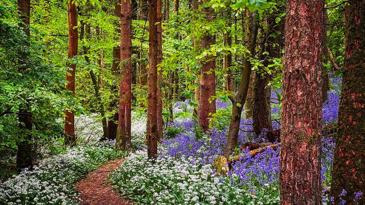 Photo of Others in Casterton