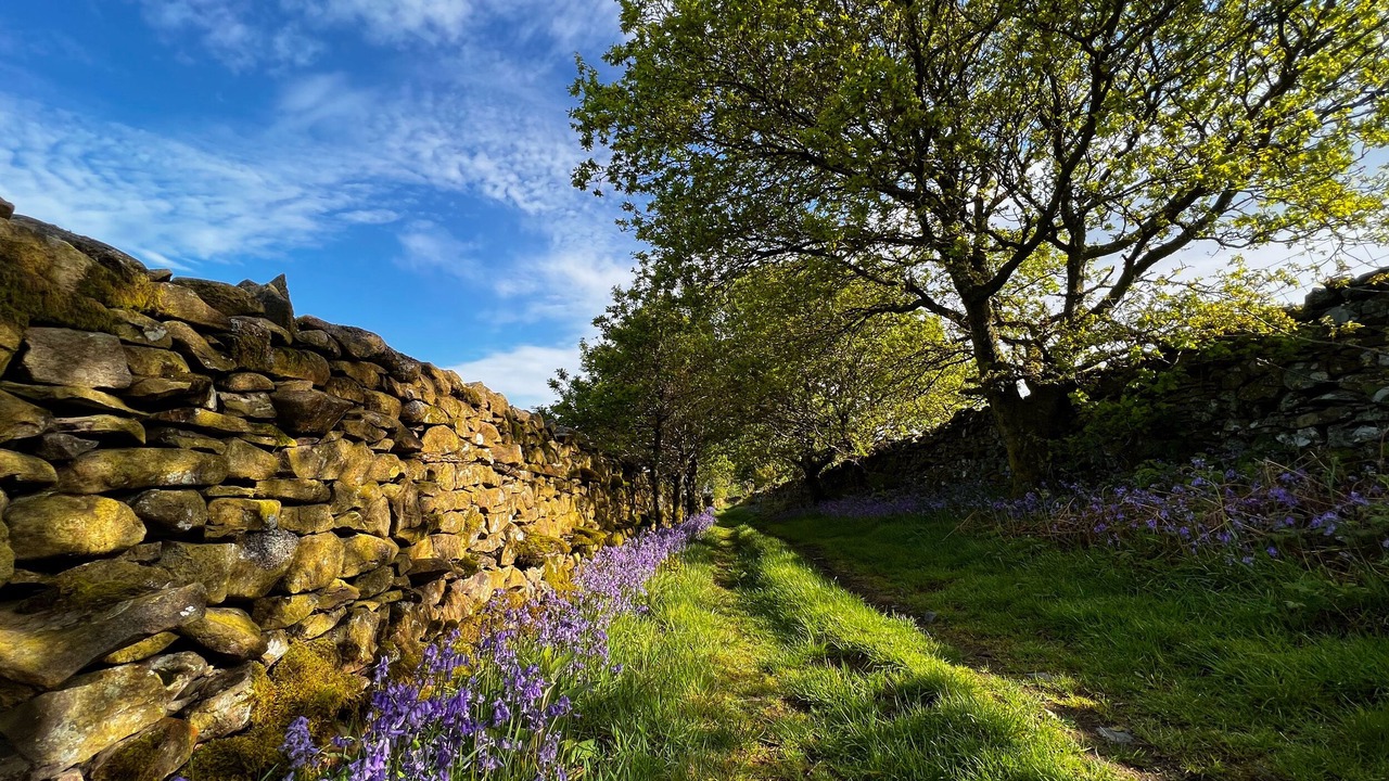 Photo of Others in Casterton