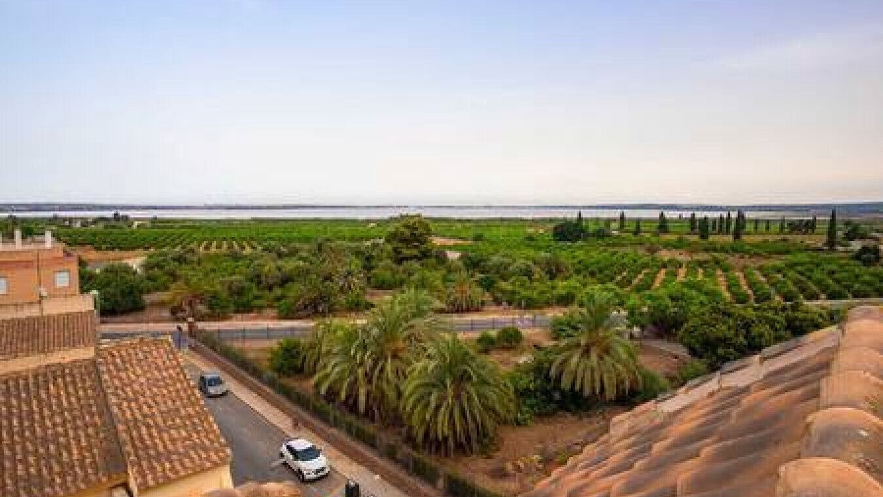 Photo of Outdoor in Los Montesinos