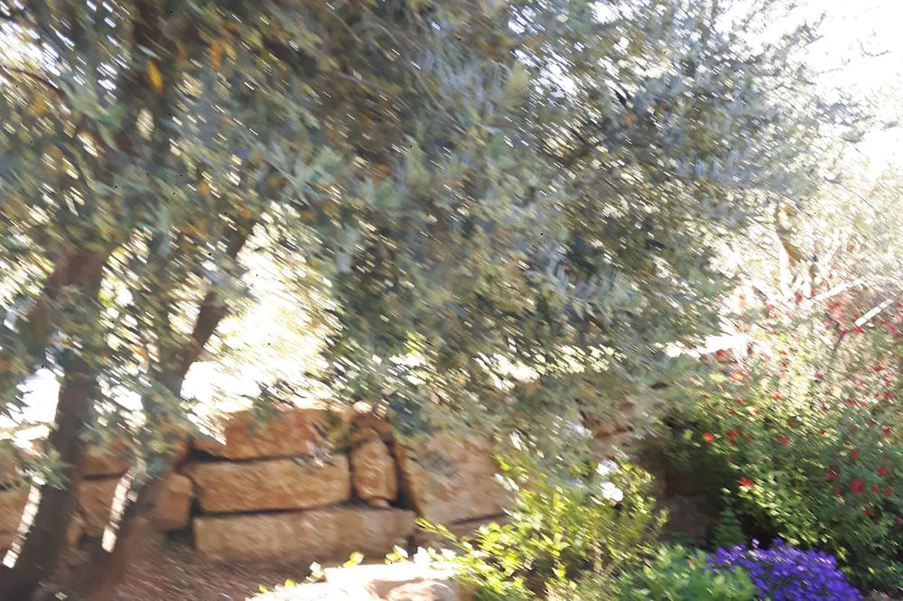 Photo of Outdoor in Mornas