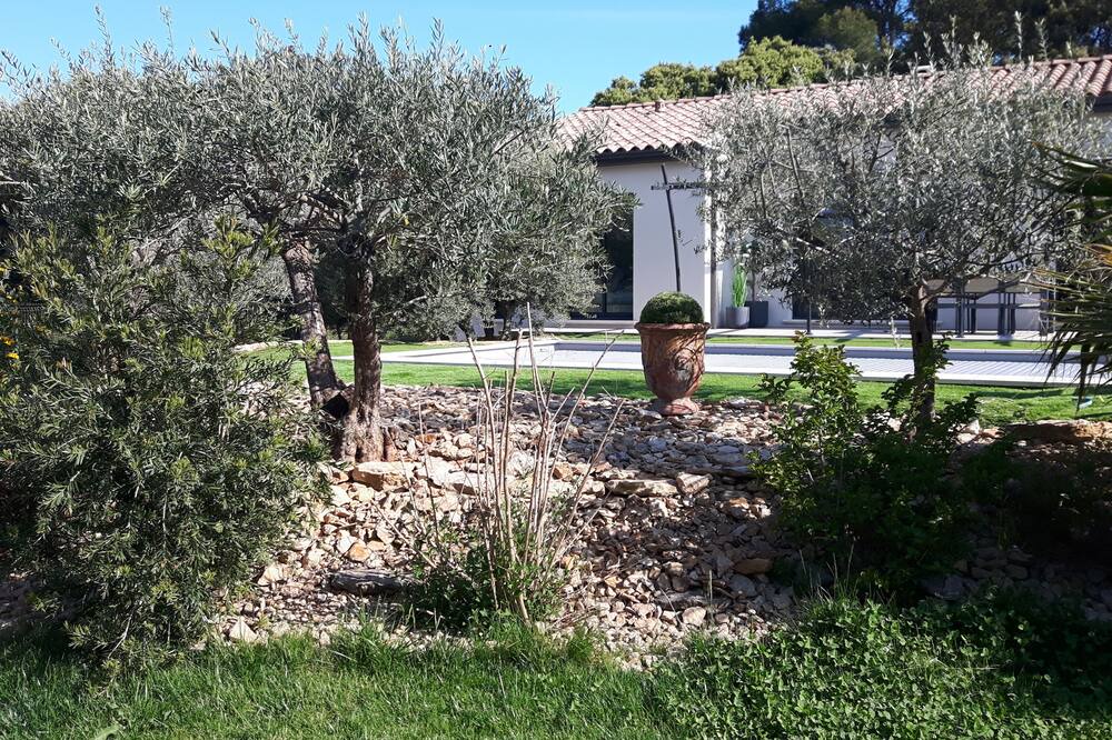 Photo of Outdoor in Mornas