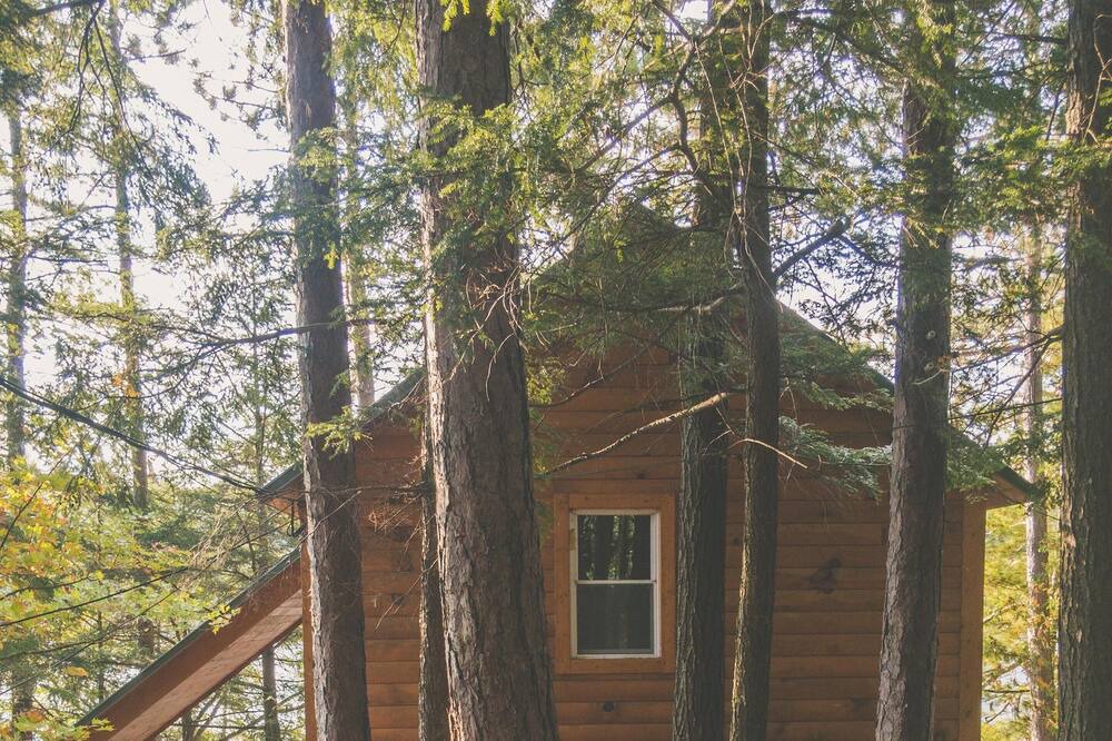 Photo of Others in Long Lake