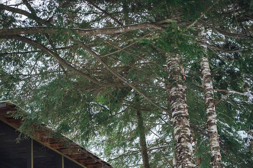 Photo of Others in Long Lake