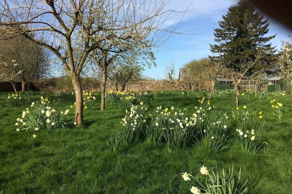 Photo of Others in Tetbury
