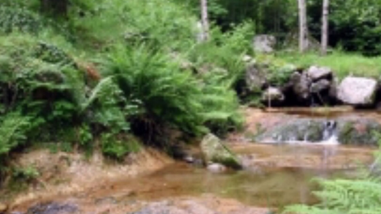 Photo of Outdoor in Blaunac