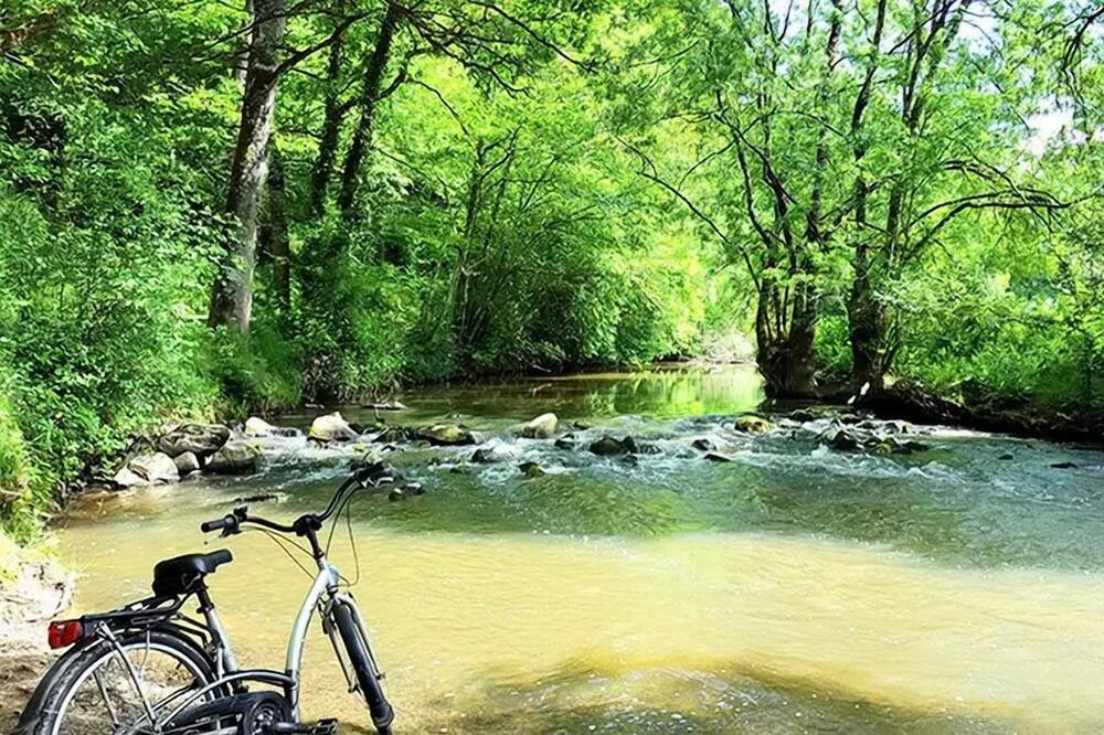 Photo of Others in Nort-sur-Erdre