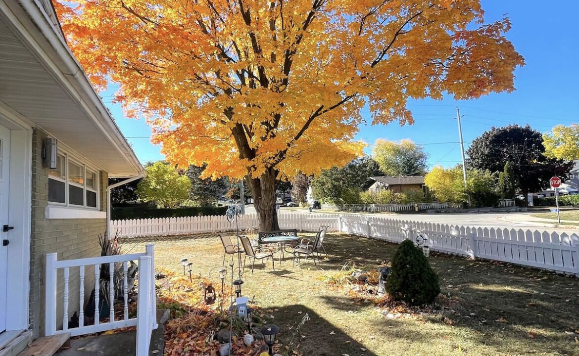 Photo of Outdoor in Cambridge