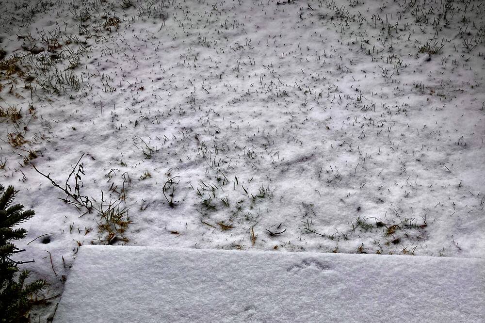 Photo of Others in Burdett