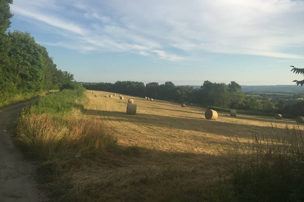 Photo of Others in Burdett