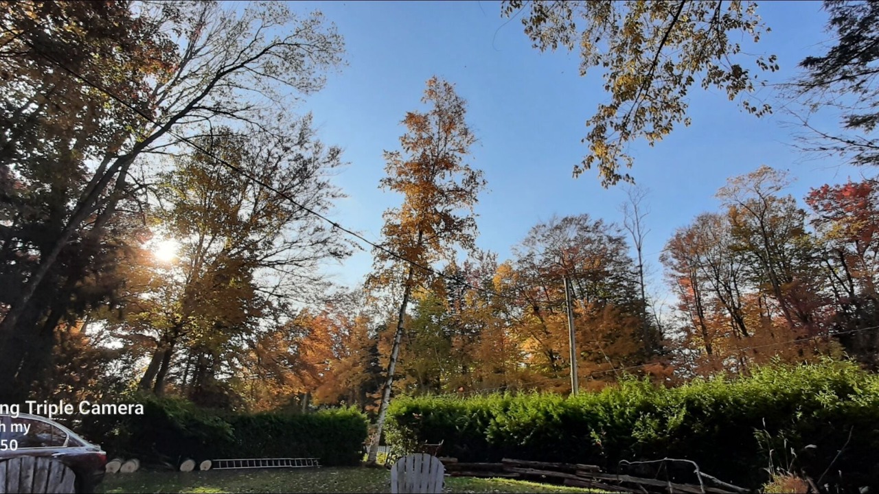 Photo of Outdoor in Point Clark