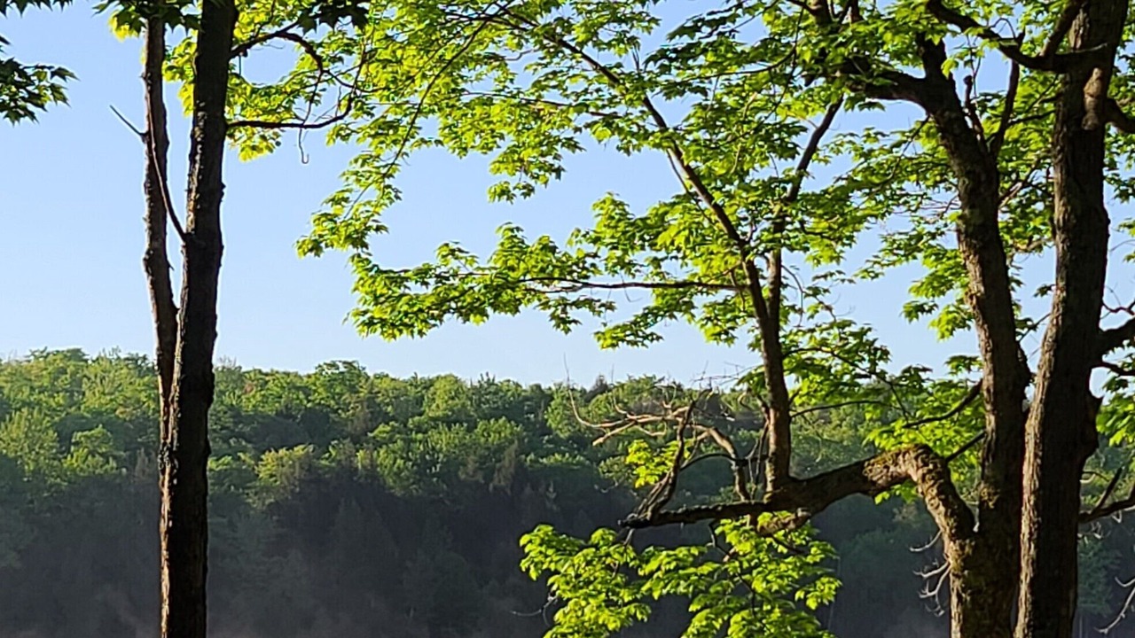 Photo of Others in Amherst