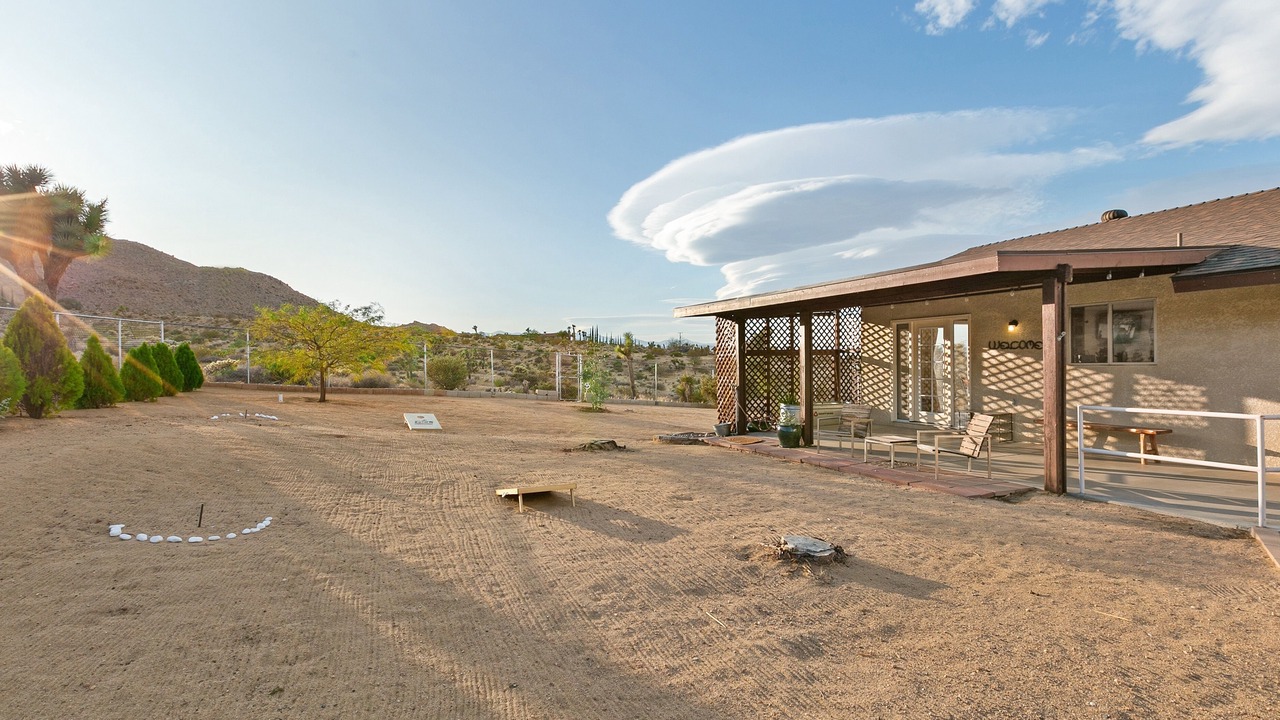 Photo of Others in Joshua Tree