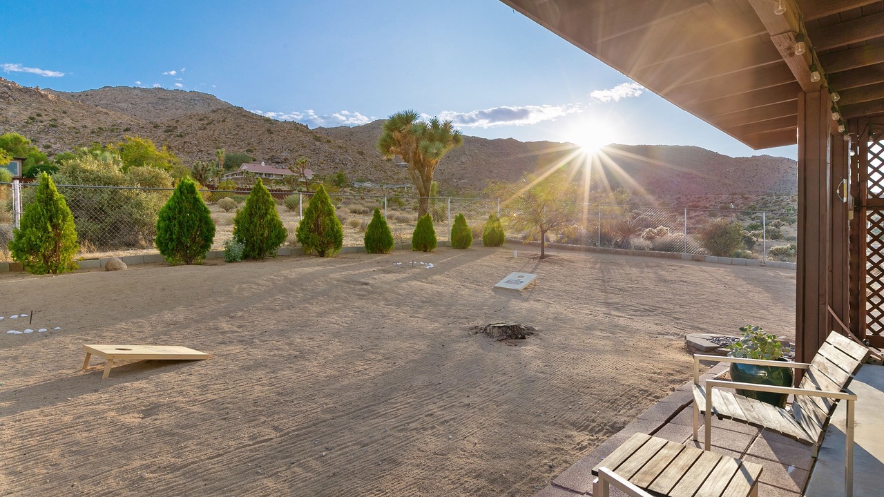 Photo of Others in Joshua Tree