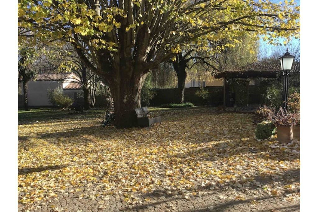 Photo of Outdoor in Saint-Laurent-d'Arce