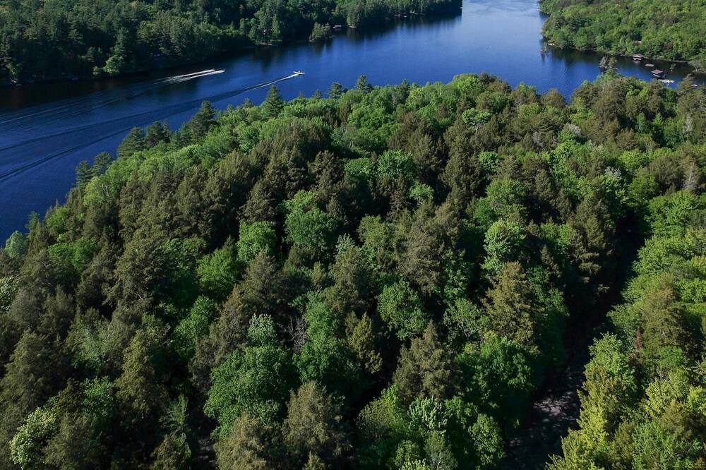 Photo of Others in Long Lake
