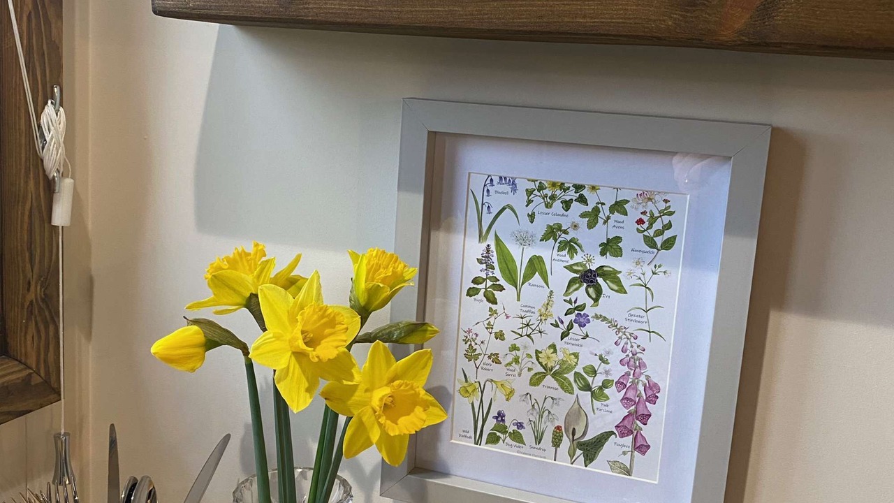 Photo of Others in Llanfarian