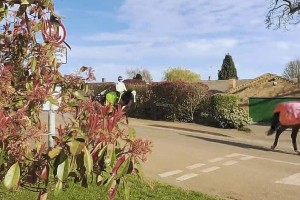 Photo of Others in Harrington