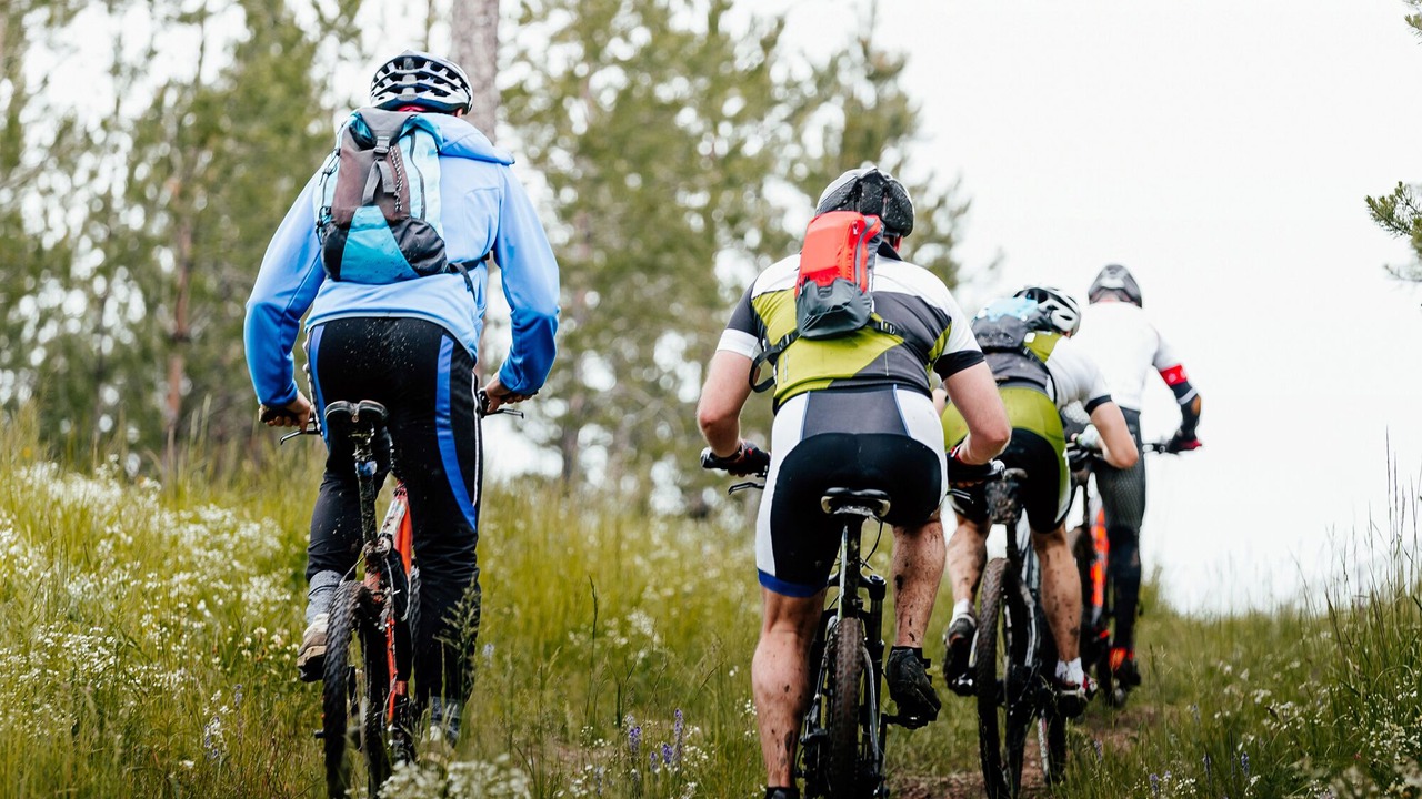 Photo of Outdoor in La Salvetat-sur-Agout