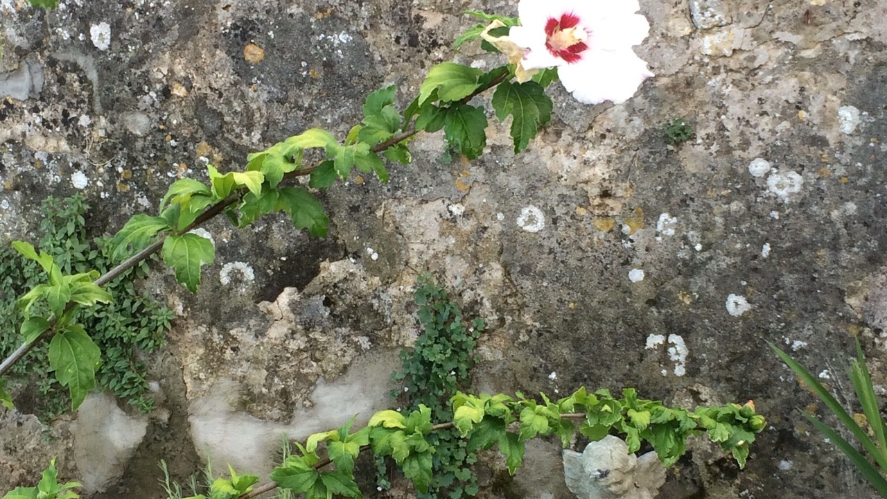 Photo of Outdoor in Fontenay-le-Comte