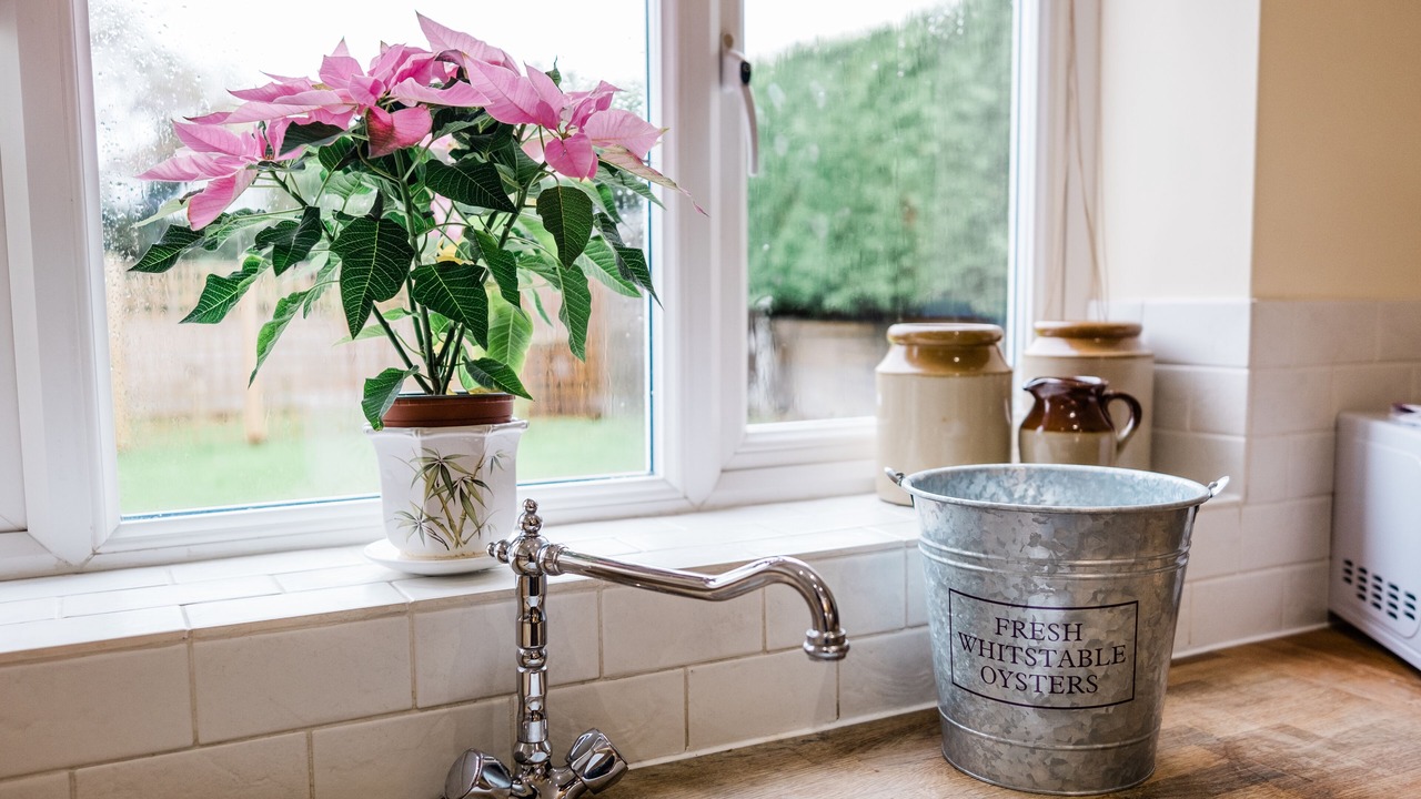 Photo of Others in Swalecliffe