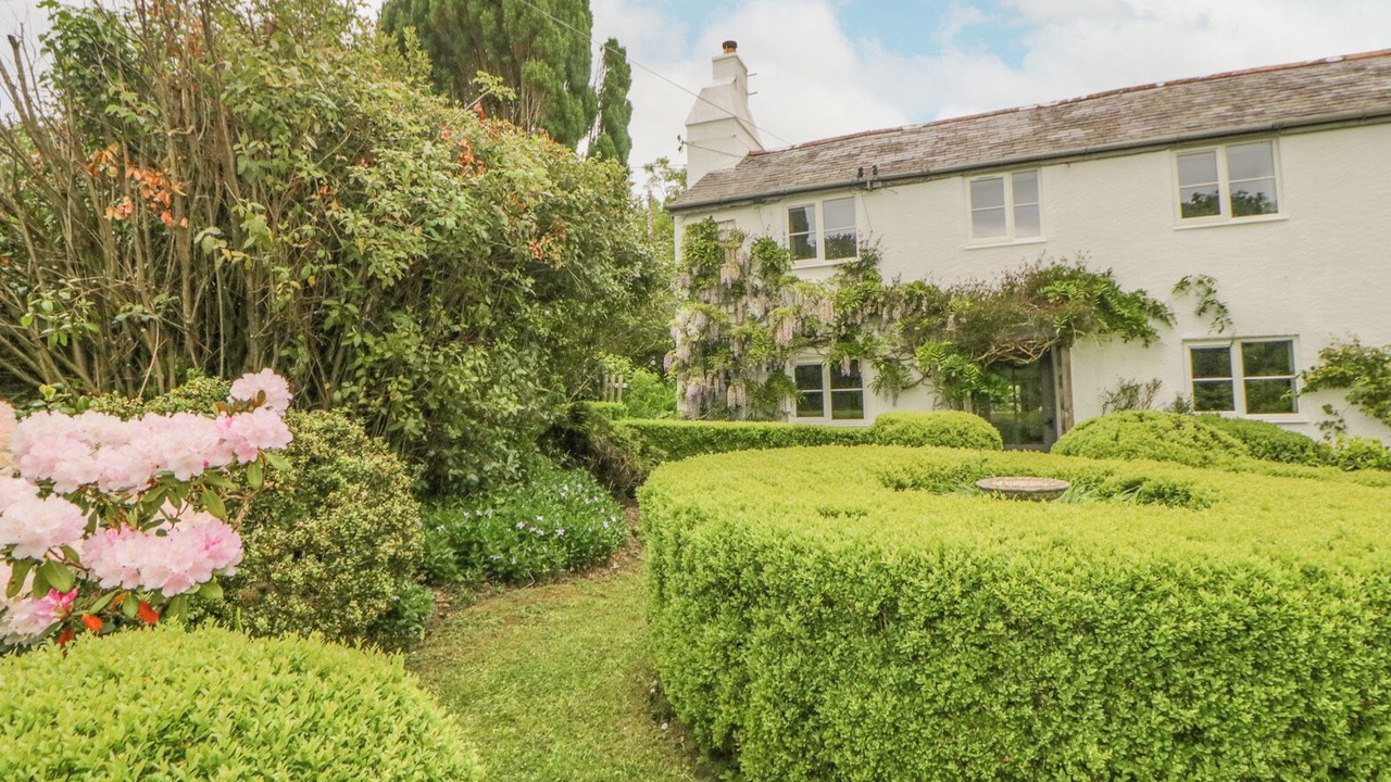 Photo of Others in Loddiswell