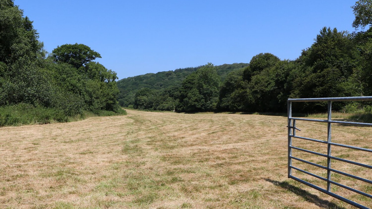 Photo of Outdoor in Loddiswell