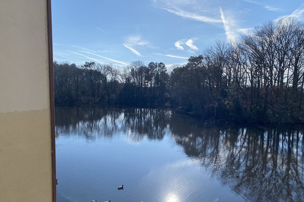 Photo of Others in Salisbury