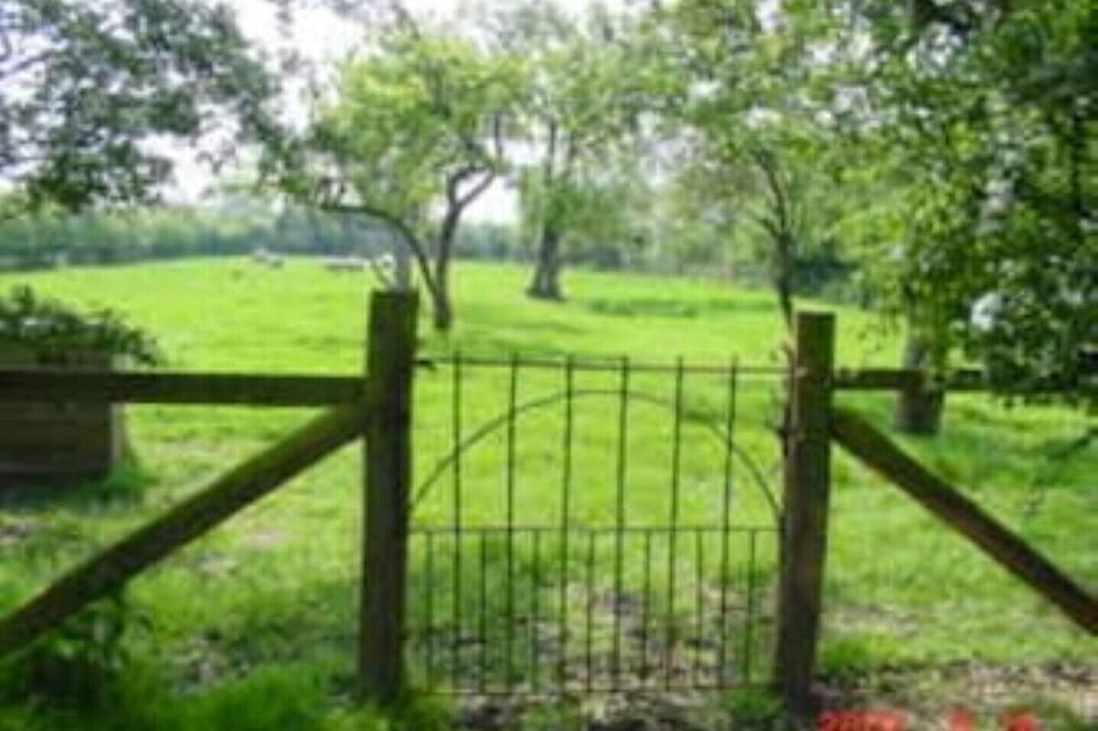 Photo of Outdoor in Scawton