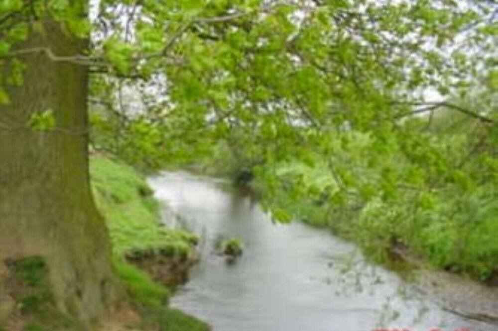 Photo of Outdoor in Scawton