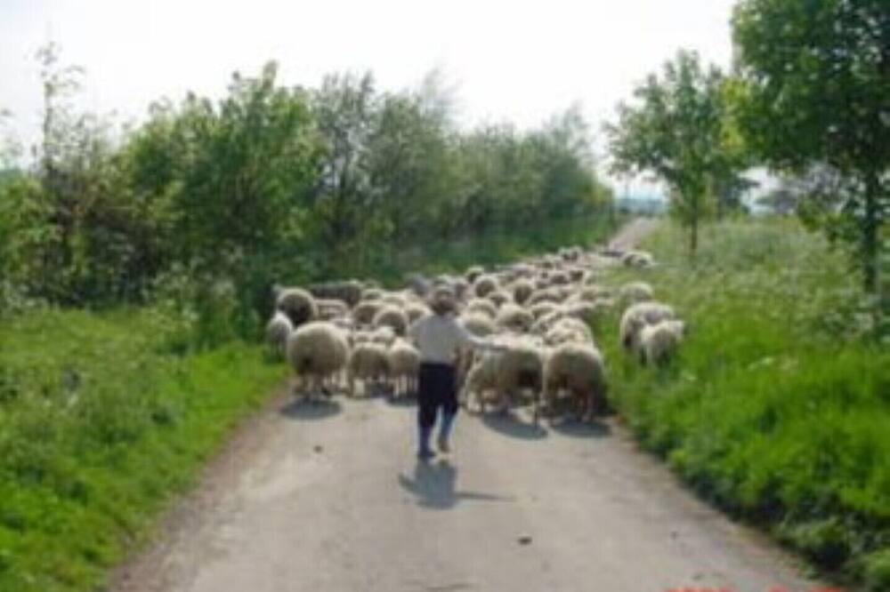 Photo of Outdoor in Scawton