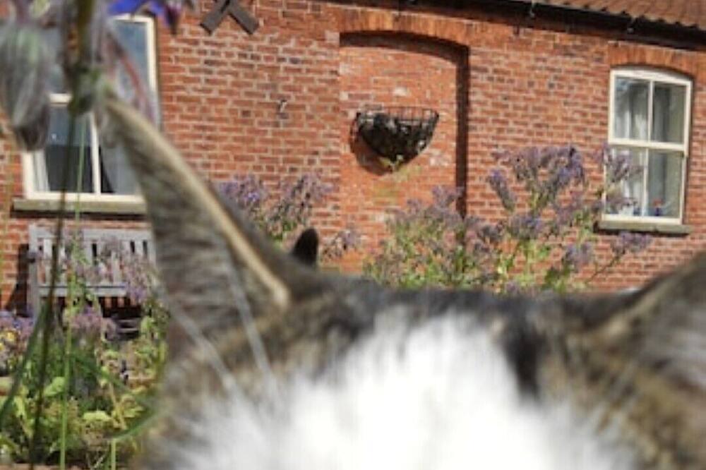 Photo of Others in Scawton