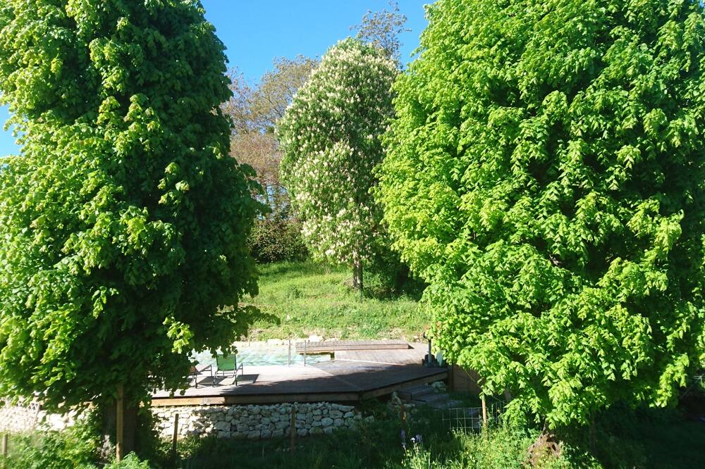 Photo of Outdoor in Parcay-sur-Vienne