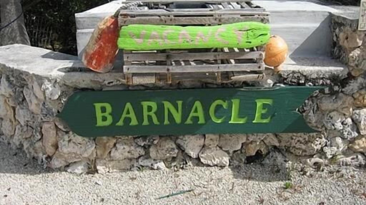 Photo of Outdoor in Long Beach Estates