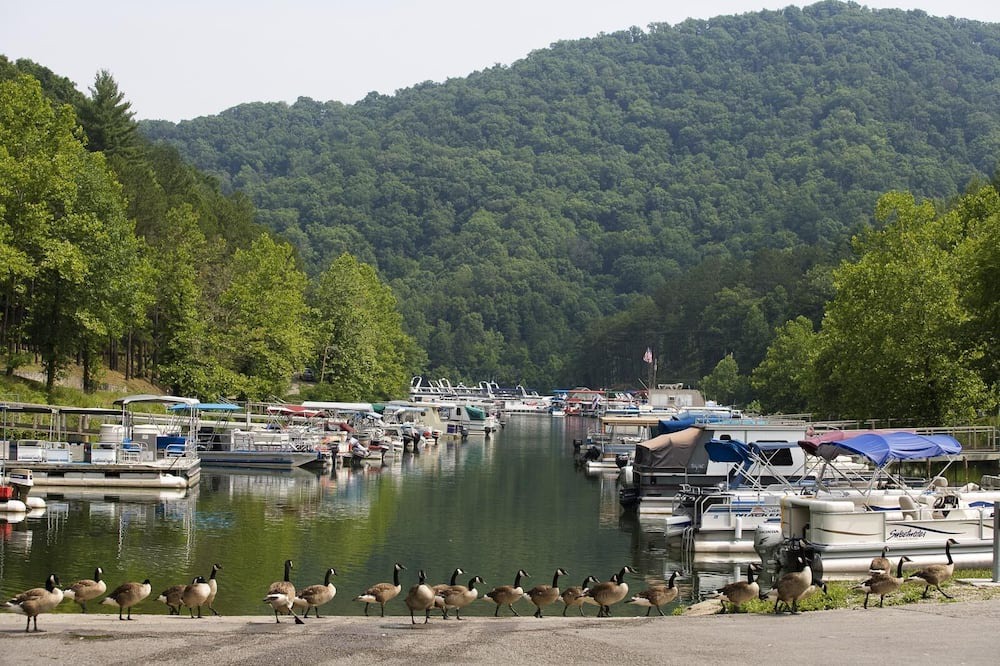 Photo of Others in Prestonsburg