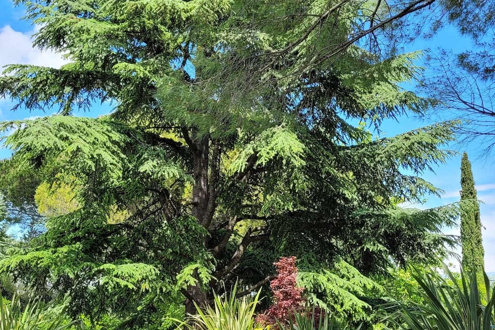 Photo of Outdoor in Pont-Saint-Esprit