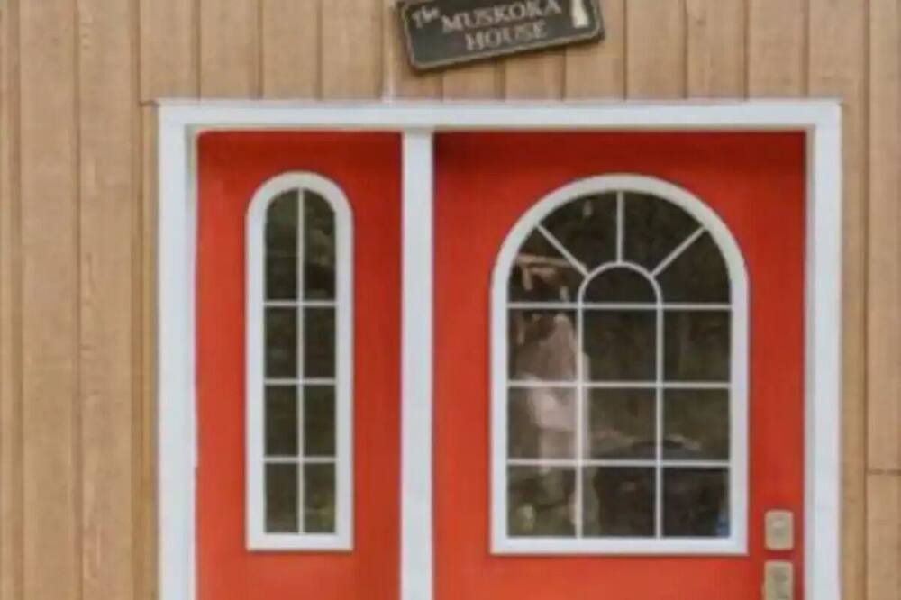 Photo of Outdoor in Gravenhurst