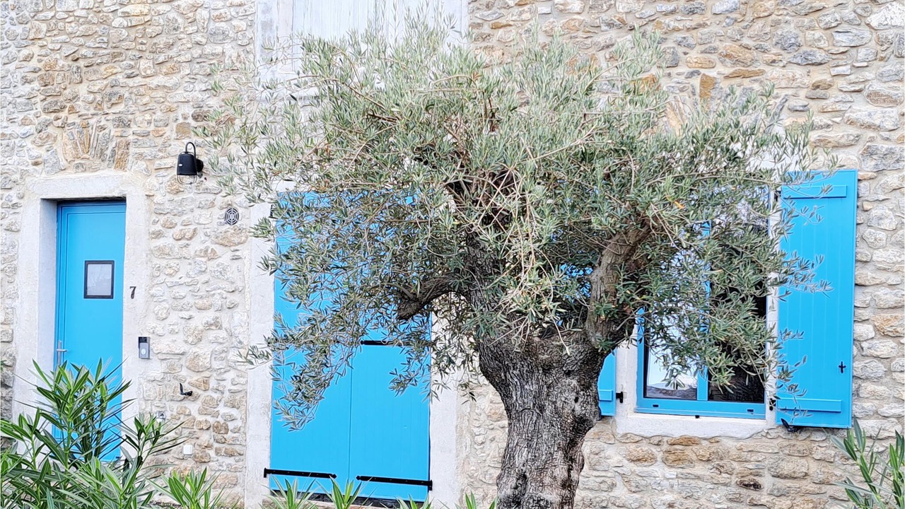 Photo of Outdoor in Pennautier