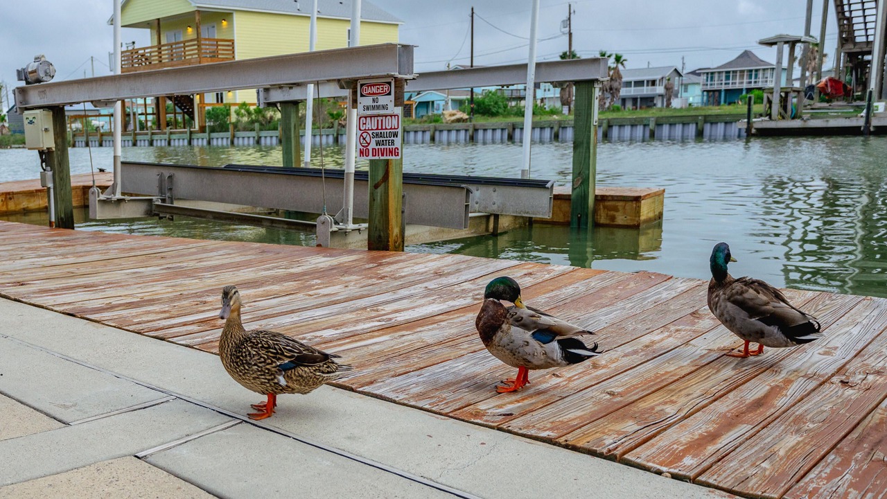 Photo of Outdoor in Rockport