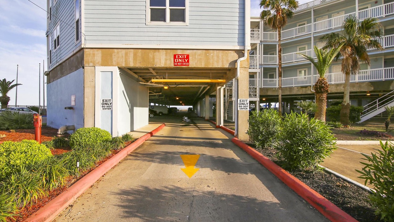 Photo of Others in Galveston