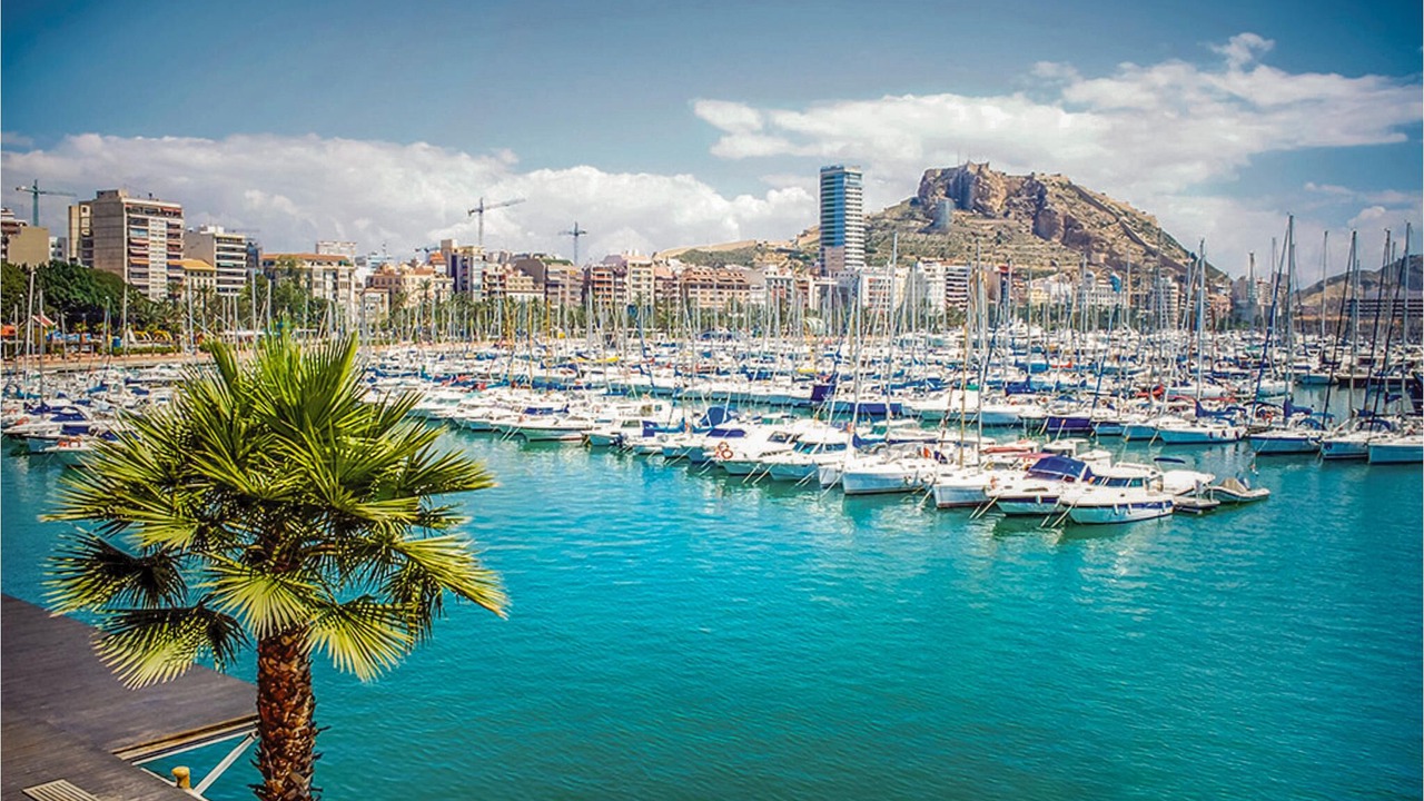 Photo of Others in San Juan de Alicante